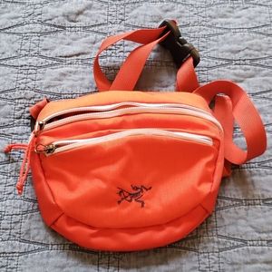 Fanny pack/Crossbody bag